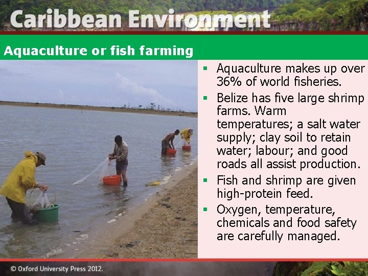 Aquaculture or fish farming § Aquaculture makes up over 36% of world fisheries. §