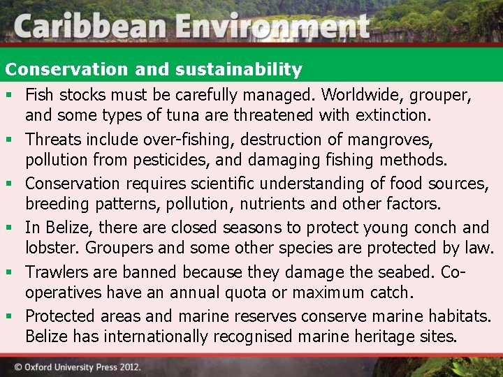 Conservation and sustainability § Fish stocks must be carefully managed. Worldwide, grouper, and some