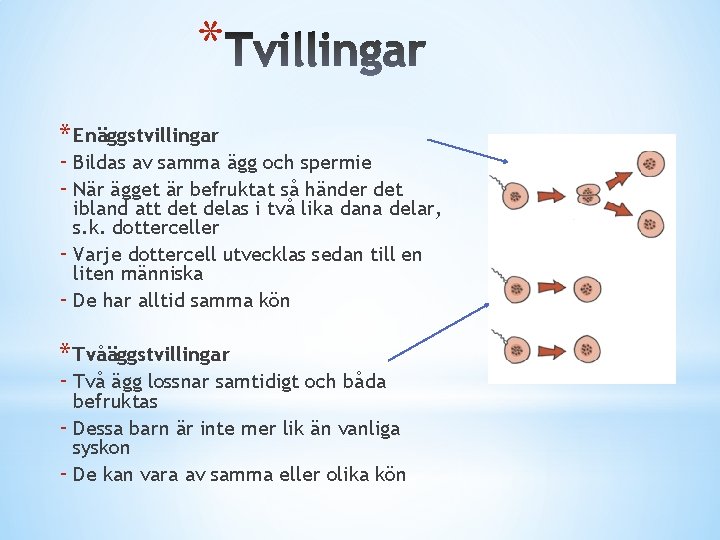 * * Enäggstvillingar - Bildas av samma ägg och spermie - När ägget är