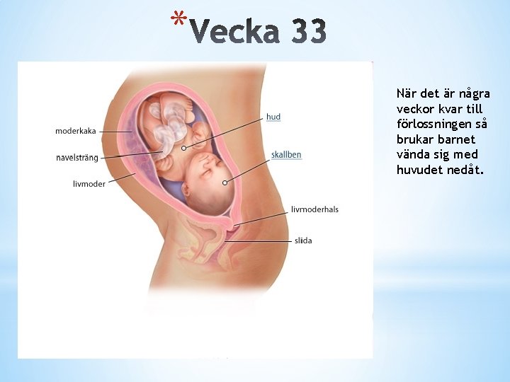 * När det är några veckor kvar till förlossningen så brukar barnet vända sig