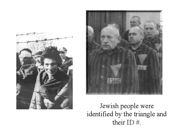 Jewish people were identified by the triangle and their ID #. 