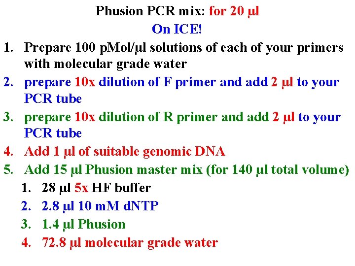 1. 2. 3. 4. 5. Phusion PCR mix: for 20 µl On ICE! Prepare