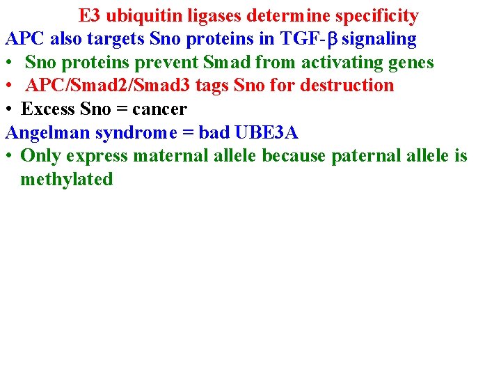 E 3 ubiquitin ligases determine specificity APC also targets Sno proteins in TGF-b signaling