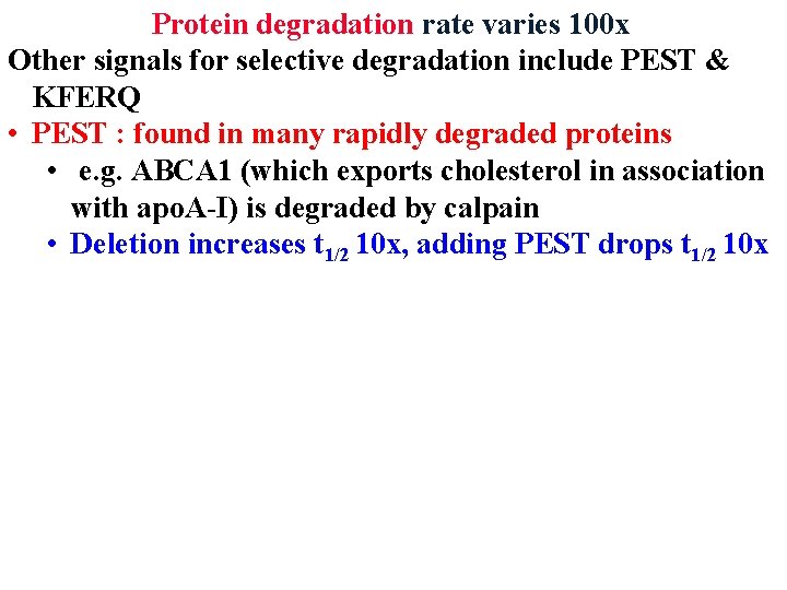 Protein degradation rate varies 100 x Other signals for selective degradation include PEST &