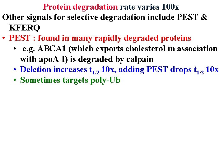 Protein degradation rate varies 100 x Other signals for selective degradation include PEST &