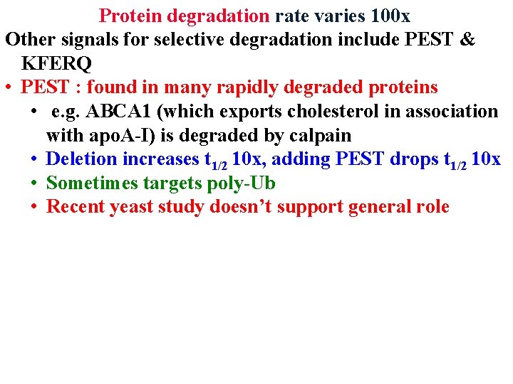 Protein degradation rate varies 100 x Other signals for selective degradation include PEST &