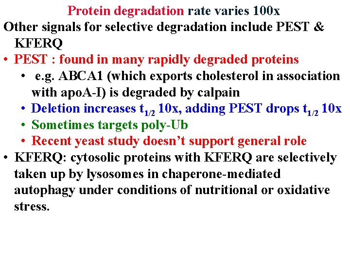 Protein degradation rate varies 100 x Other signals for selective degradation include PEST &