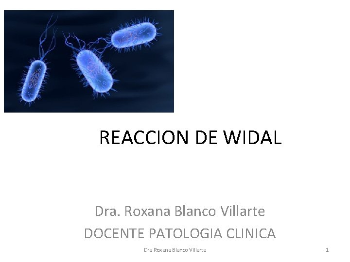 REACCION DE WIDAL Dra. Roxana Blanco Villarte DOCENTE PATOLOGIA CLINICA Dra Roxana Blanco Villarte