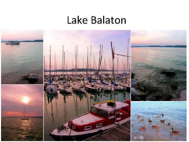 Lake Balaton 