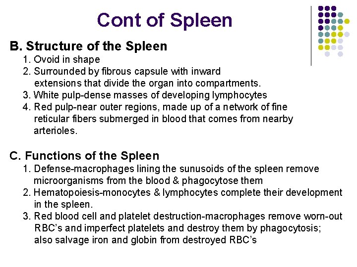 Cont of Spleen B. Structure of the Spleen 1. Ovoid in shape 2. Surrounded