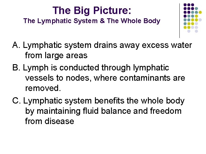 The Big Picture: The Lymphatic System & The Whole Body A. Lymphatic system drains