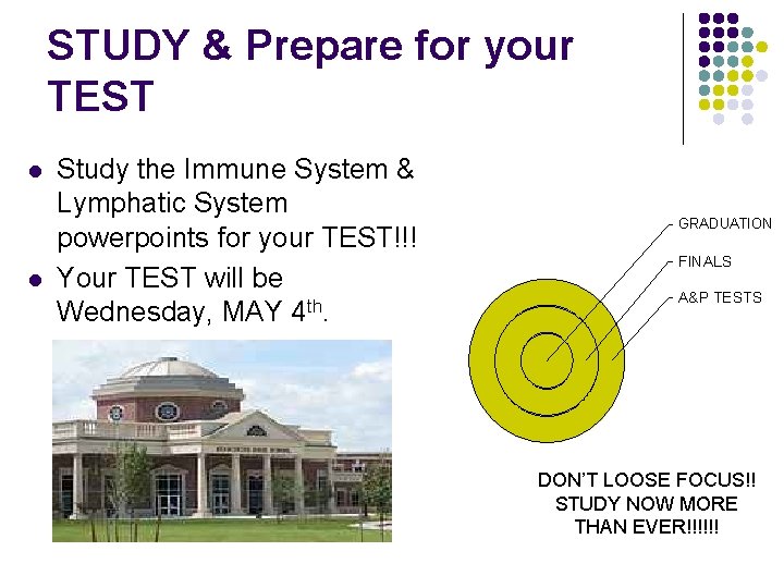 STUDY & Prepare for your TEST l l Study the Immune System & Lymphatic