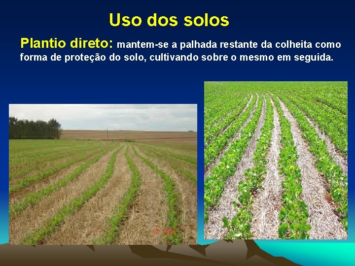 Uso dos solos Plantio direto: mantem-se a palhada restante da colheita como forma de