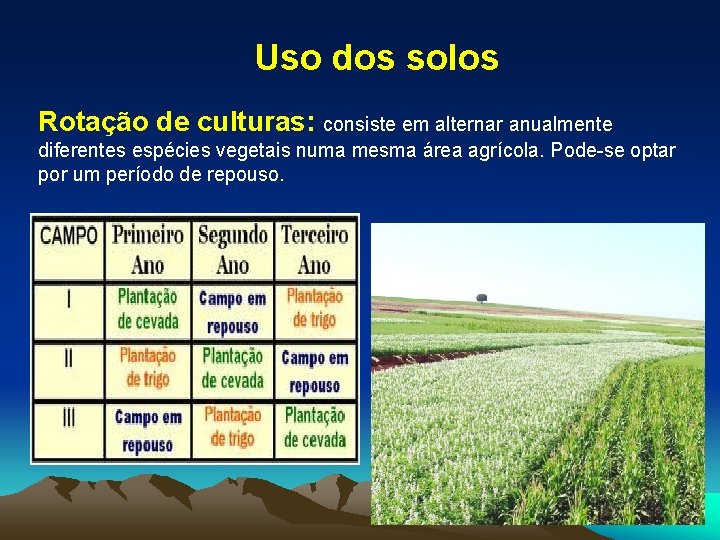 Uso dos solos Rotação de culturas: consiste em alternar anualmente diferentes espécies vegetais numa