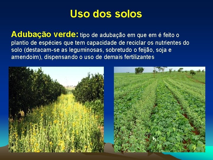 Uso dos solos Adubação verde: tipo de adubação em que em é feito o