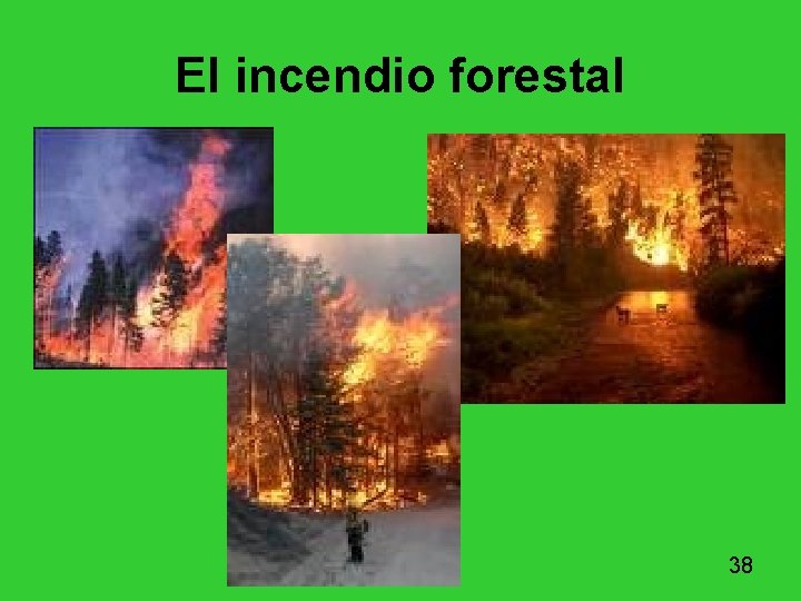 El incendio forestal 38 El incendio forestal 38