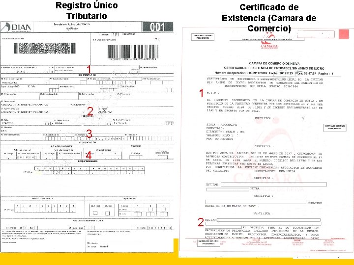 Registro Único Tributario Certificado de Existencia (Camara de Comercio) 1 1 2 3 4