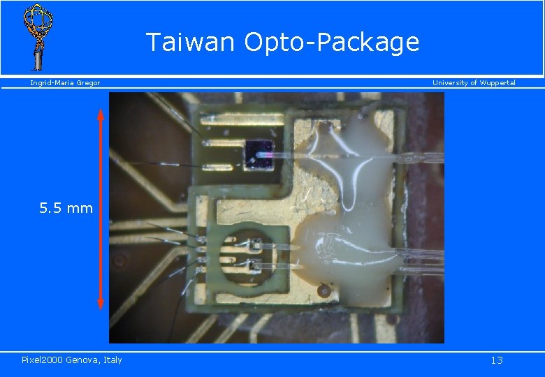 Taiwan Opto-Package Ingrid-Maria Gregor University of Wuppertal 5. 5 mm Pixel 2000 Genova, Italy