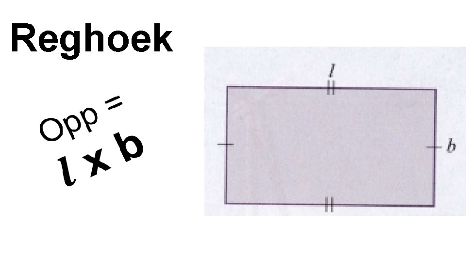 Reghoek 