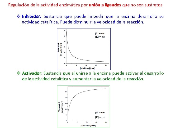 Regulación de la actividad enzimática por unión a ligandos que no son sustratos v