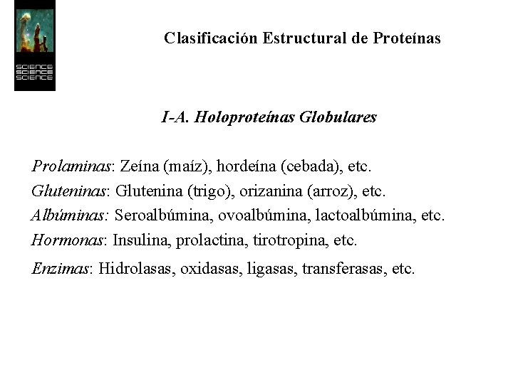 Clasificación Estructural de Proteínas I-A. Holoproteínas Globulares Prolaminas: Zeína (maíz), hordeína (cebada), etc. Gluteninas: