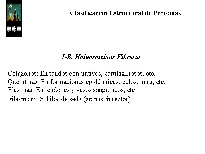 Clasificación Estructural de Proteínas I-B. Holoproteínas Fibrosas Colágenos: En tejidos conjuntivos, cartilaginosos, etc. Queratinas: