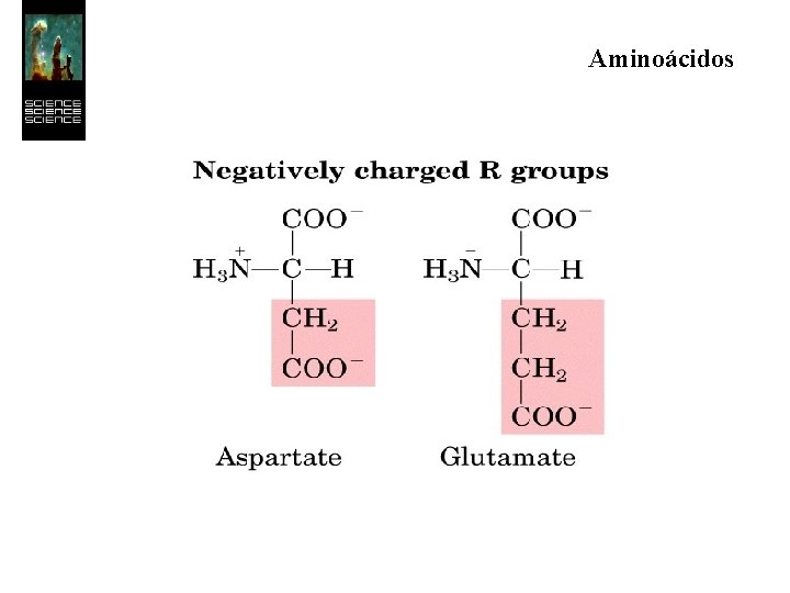 Aminoácidos 
