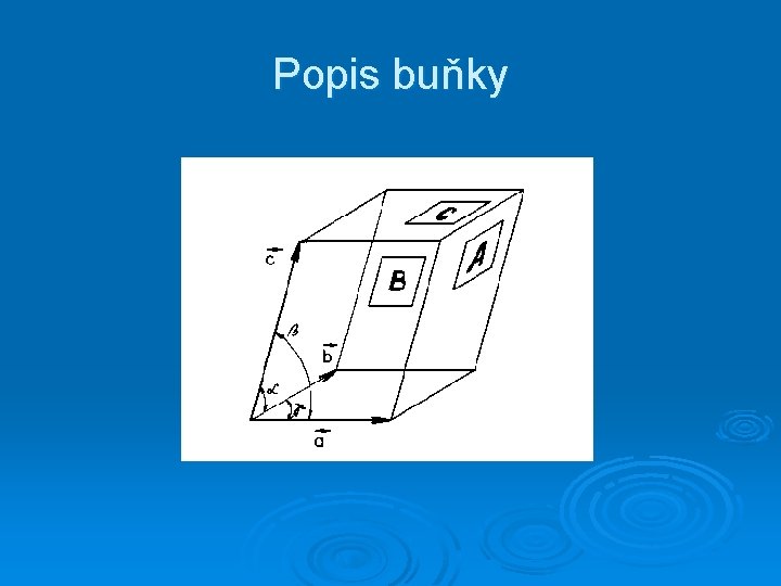 Popis buňky 