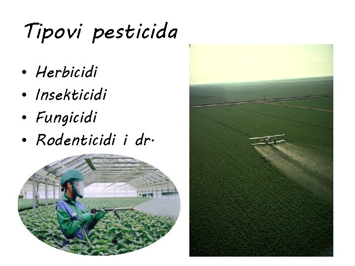 Tipovi pesticida • • Herbicidi Insekticidi Fungicidi Rodenticidi i dr. 