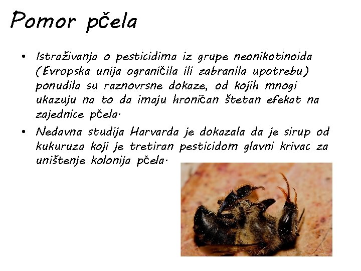 Pomor pčela • Istraživanja o pesticidima iz grupe neonikotinoida (Evropska unija ograničila ili zabranila