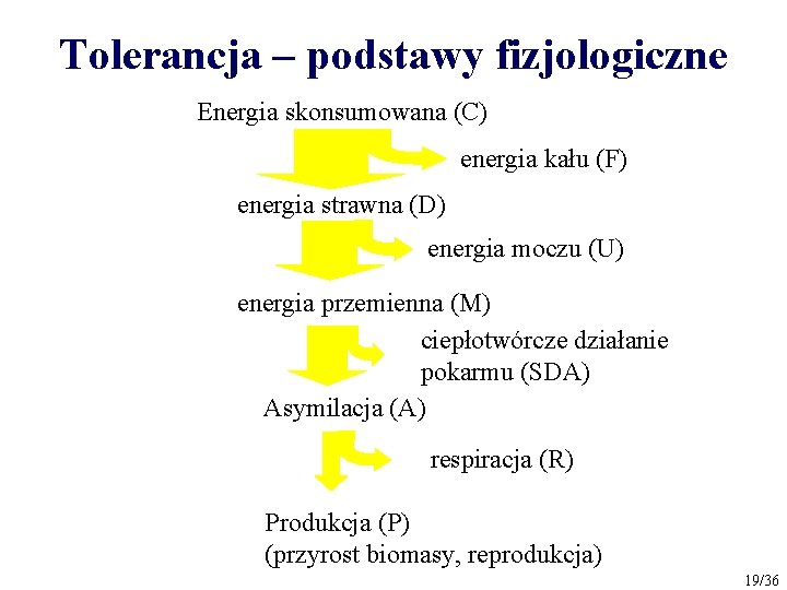 Tolerancja – podstawy fizjologiczne Energia skonsumowana (C) energia kału (F) energia strawna (D) energia