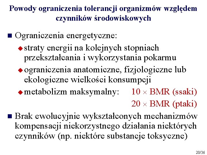 Powody ograniczenia tolerancji organizmów względem czynników środowiskowych Ograniczenia energetyczne: u straty energii na kolejnych