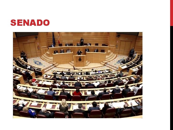 SENADO 