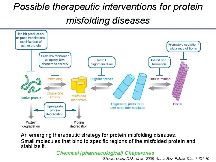 Possible therapeutic interventions for protein misfolding diseases An emerging therapeutic strategy for protein misfolding