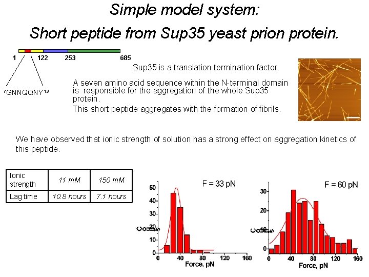 Simple model system: Short peptide from Sup 35 yeast prion protein. 1 122 253