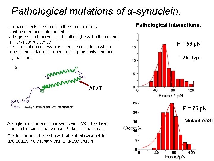 Pathological mutations of α-synuclein. - α-synuclein is expressed in the brain, normally unstructured and