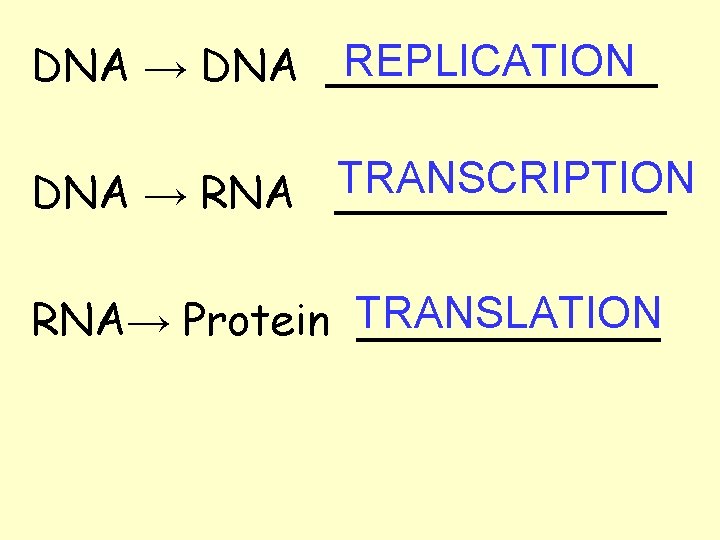 REPLICATION DNA → DNA ______ TRANSCRIPTION DNA → RNA ______ RNA→ Protein TRANSLATION ______ REPLICATION DNA → DNA ______ TRANSCRIPTION DNA → RNA ______ RNA→ Protein TRANSLATION ______