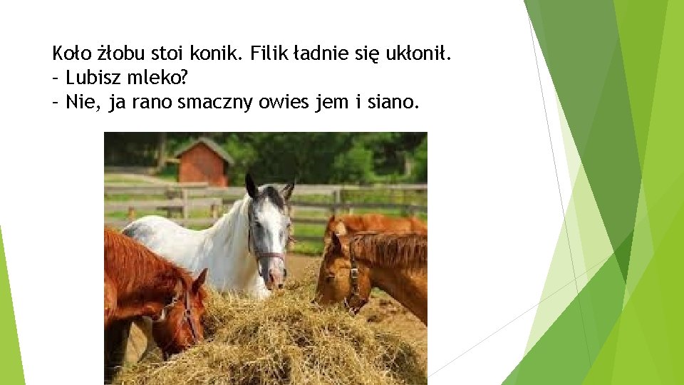 Koło żłobu stoi konik. Filik ładnie się ukłonił. – Lubisz mleko? – Nie, ja