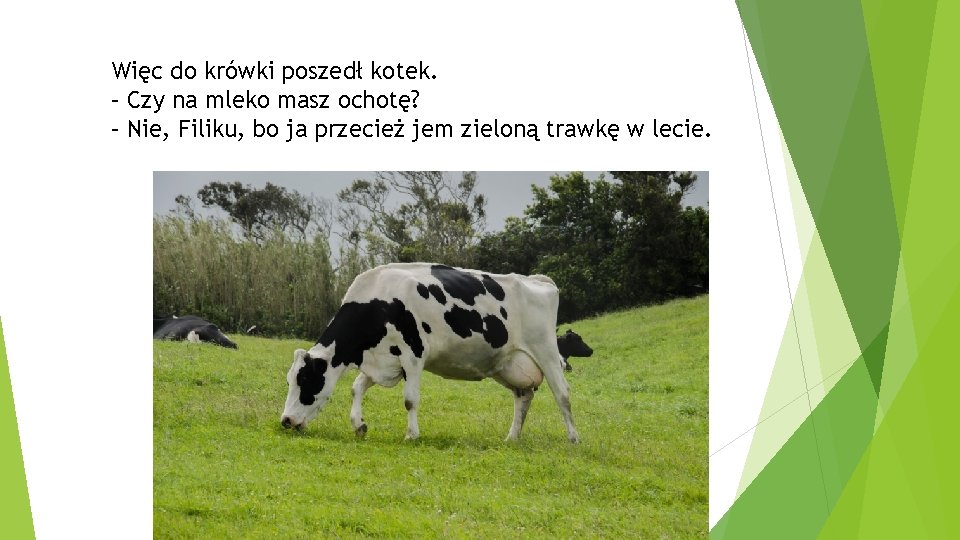 Więc do krówki poszedł kotek. – Czy na mleko masz ochotę? – Nie, Filiku,