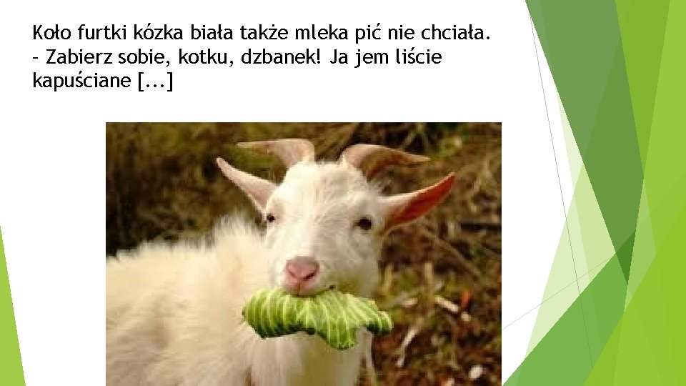 Koło furtki kózka biała także mleka pić nie chciała. – Zabierz sobie, kotku, dzbanek!