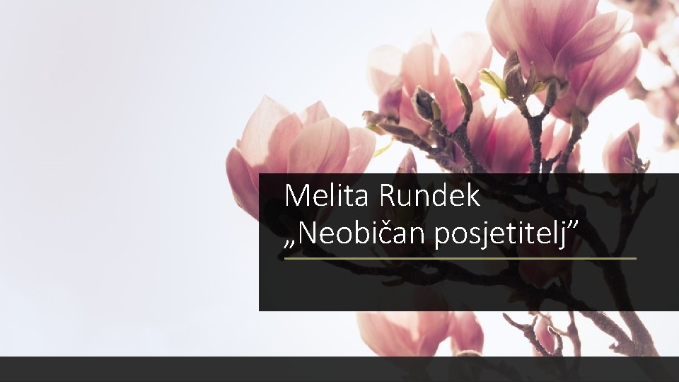 Melita Rundek „Neobičan posjetitelj” 