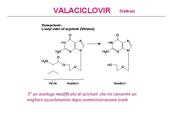 VALACICLOVIR (Valtrex) E’ un analogo modificato di aciclovir che ne consente un migliore assorbimento