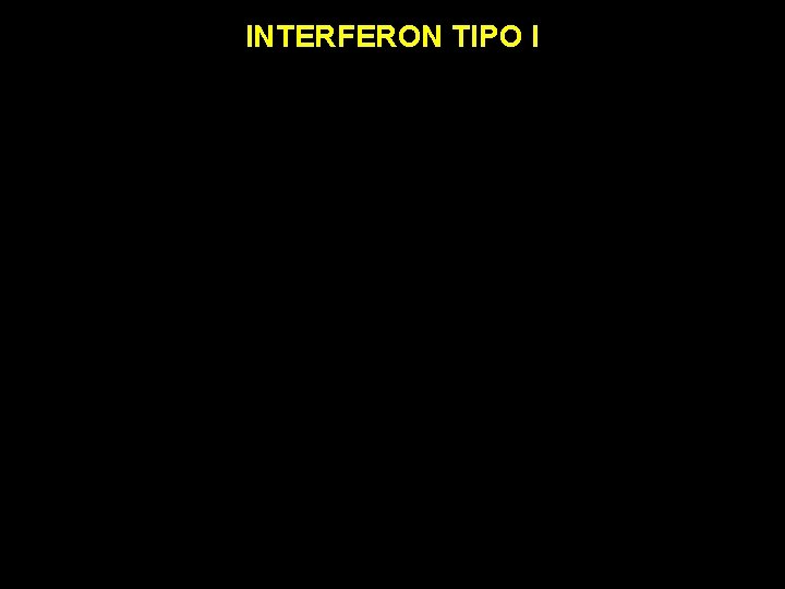 INTERFERON TIPO I 