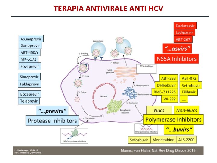 TERAPIA ANTIVIRALE ANTI HCV 