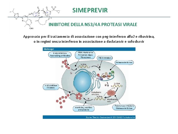 SIMEPREVIR INIBITORE DELLA NS 3/4 A PROTEASI VIRALE Approvato per il trattamento di associazione