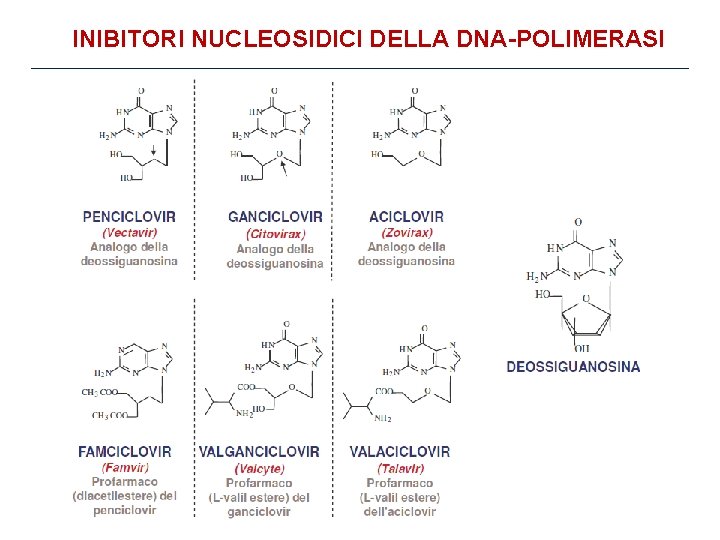 INIBITORI NUCLEOSIDICI DELLA DNA-POLIMERASI 