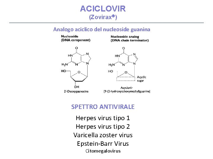 ACICLOVIR (Zovirax ) Analogo aciclico del nucleoside guanina SPETTRO ANTIVIRALE Herpes virus tipo 1