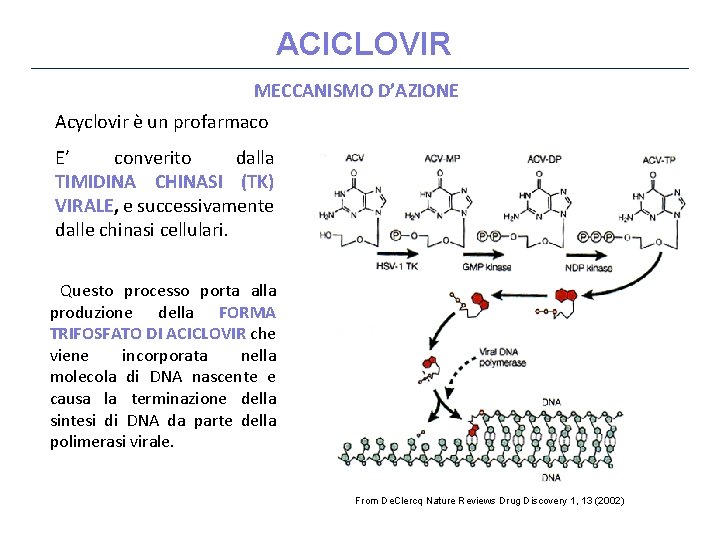 ACICLOVIR MECCANISMO D’AZIONE Acyclovir è un profarmaco E’ converito dalla TIMIDINA CHINASI (TK) VIRALE,