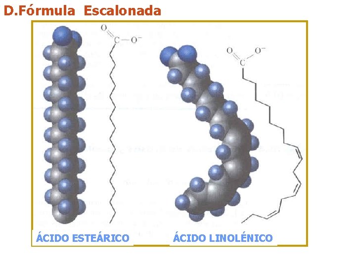 D. Fórmula Escalonada ÁCIDO ESTEÁRICO ÁCIDO LINOLÉNICO 