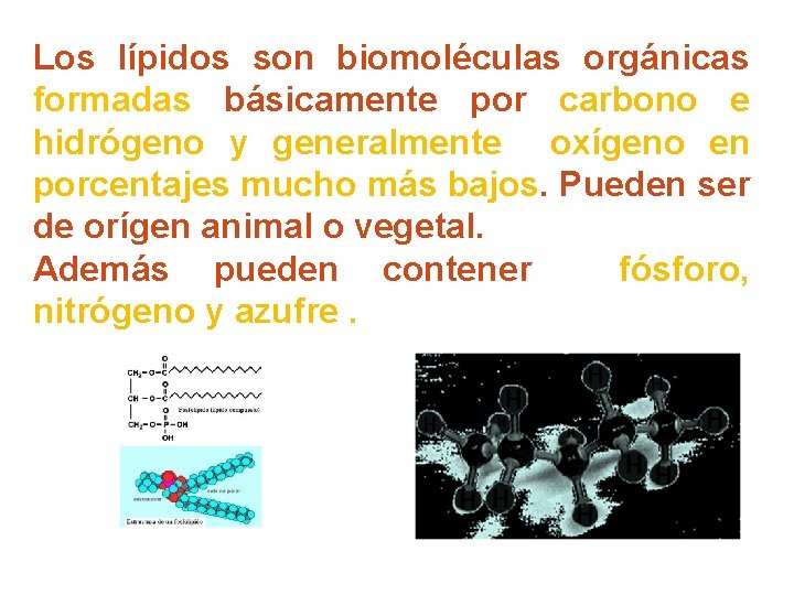 Los lípidos son biomoléculas orgánicas formadas básicamente por carbono e hidrógeno y generalmente oxígeno